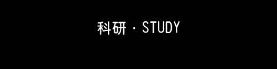 ·STUDY